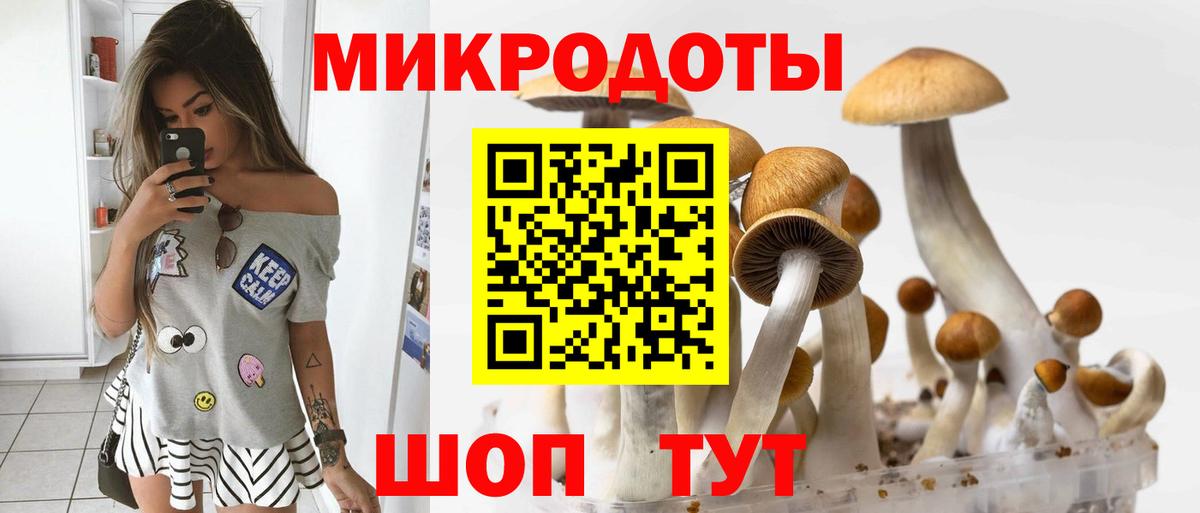 Галлюциногенные грибы Psilocybe Дзержинский